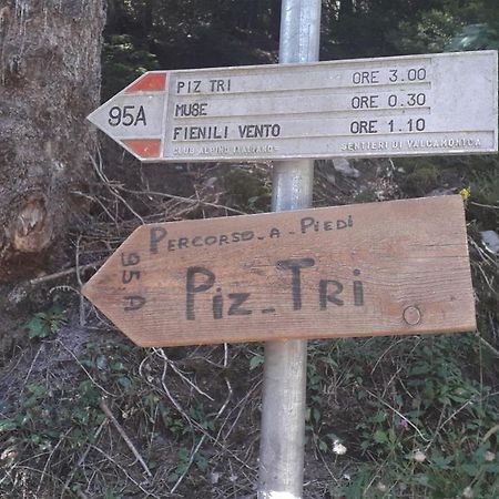 Malonno Casa Vacanza Pineta المظهر الخارجي الصورة