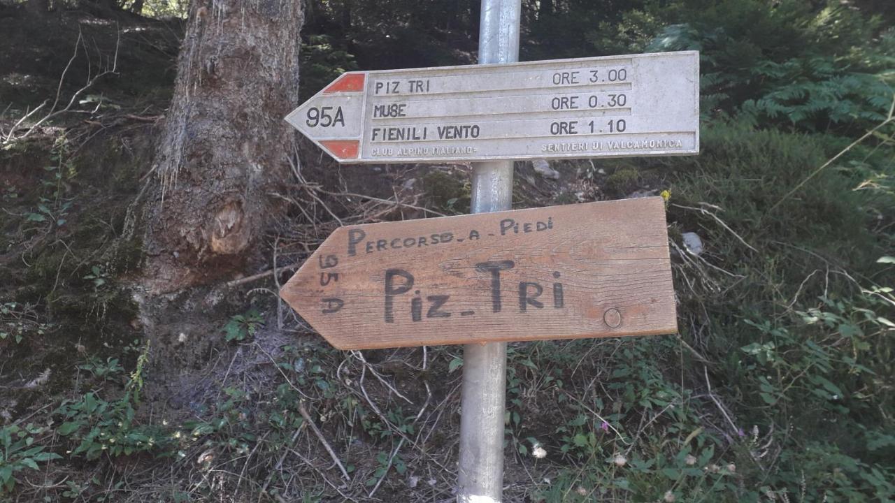Malonno Casa Vacanza Pineta المظهر الخارجي الصورة