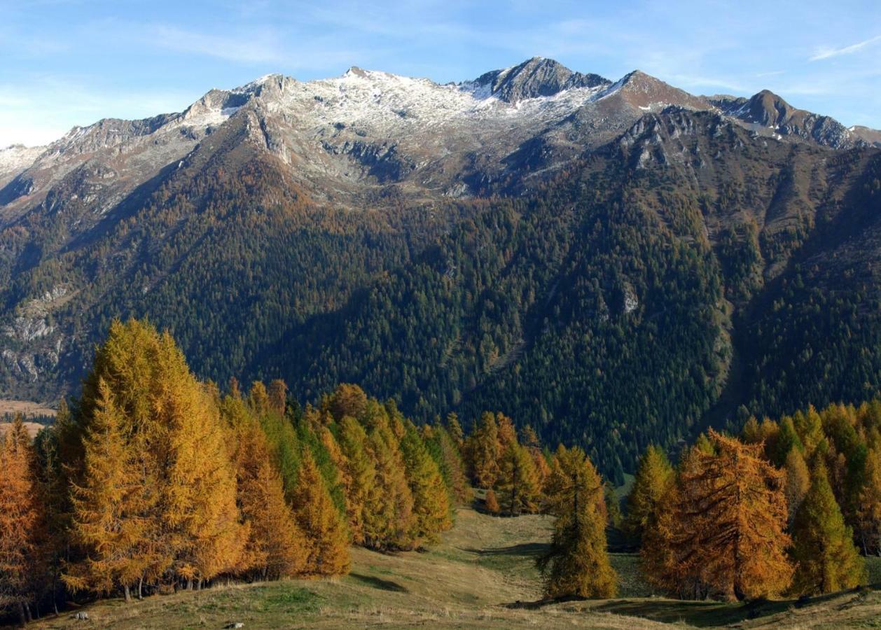 Malonno Casa Vacanza Pineta المظهر الخارجي الصورة